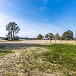 Mobilhome La Reserve Gastes